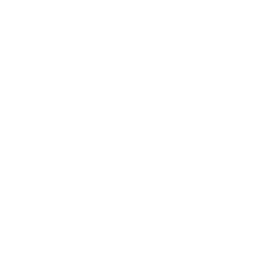 Network icon